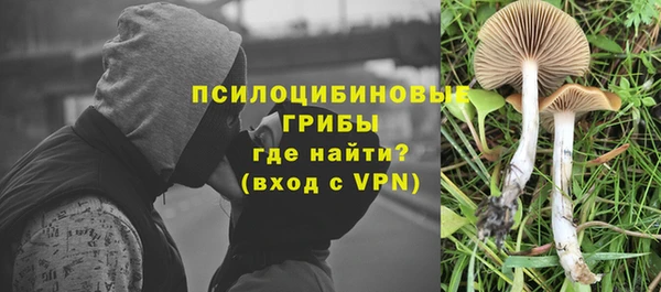 дурь Надым