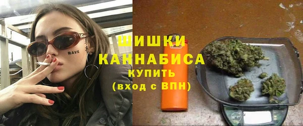 хмурый Абаза