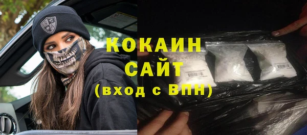 хмурый Абаза