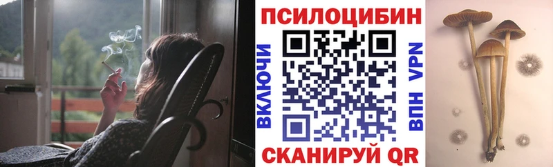 Галлюциногенные грибы Psilocybine cubensis  где продают наркотики  Чебаркуль 